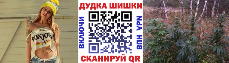 гидра зеркало  Беломорск  Бошки Шишки SATIVA & INDICA 
